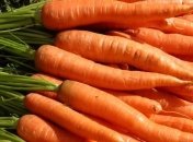 Ученые рассказали, когда появилась современная морковь 