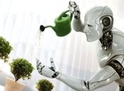 Ученые со всего мира объединились для создания аналога человеческого субъекта 