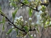 Погода в Украине 20 апреля: облачно, незначительное похолодание 