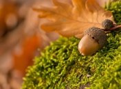 4 сентября. Приметы дня