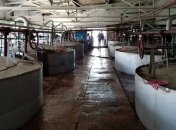 Обыски на спиртзаводах: изъято сырья на 540 миллионов гривен