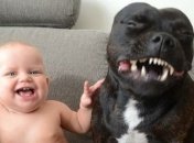Дети и домашние питомцы: очаровательные фотографии