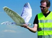 Разработано устройство, которое будет защищать людей от птиц