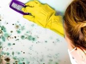 Часто плесень располагается во влажных помещениях