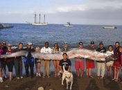Рыбу шокирующей длины обнаружили в водах океана (Видео)  