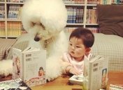 Очаровательная малышка и ее лучший друг, гигантский пудель Рику (Фото)