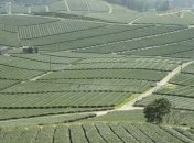 В Украине за I полугодие продано 1,2 тысяч га земли на 550 млн грн