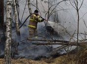 В Чернобыльской зоне опять пожар: горят 3 га леса