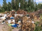 Сезон наступил, а порядок не навели: на популярном украинском курорте лежат горы мусора (фото, видео)