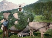 Великолепие Швейцарии в цветных открытках 1890 года (Фото) 