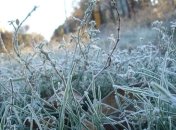 Погода в Украине на сегодня: возможны заморозки  