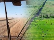 Посівна та збирання врожаю у 2022 році тривають у небезпечних умовах