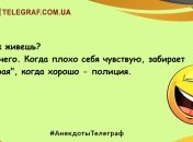 Смех гарантирован: новые вечерние анекдоты