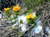 Штормовое предупреждение: в Украине прогнозируют сильный ветер и заморозки