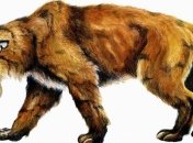 Ученые сделали интересное открытие о саблезубых кошках