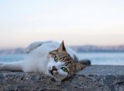 Есть смысл провести 20 июня возле воды