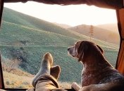 Этот аккаунт в Instagram вдохновит вас отправиться в поход со своей собакой (Фото)