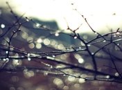 Прогноз погоды в Украине на 19 марта: в стране пройдут дожди