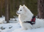 21 февраля - приметы и обряды в День Захария