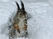 Погода в Украине на 27 января: по всей территории страны - снег