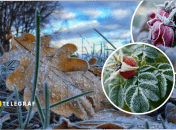 Заморозки в Україні