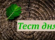 Тест по картинке - что может сказать о вас дерево
