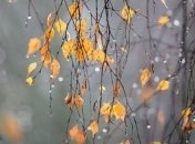 Прогноз погоды в Украине: будет дождливо и ветрено, но по-прежнему тепло 