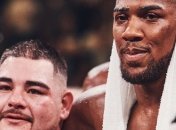 Фьюри и Уайлдер отреагировали на поражение Джошуа