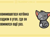 Настройтесь на веселье с самого утра: анекдоты 6 марта