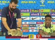 Образив кота — плати мільйон! Бразилію покарають за поведінку на ЧС-2022