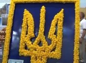 В Киеве появился огромный Герб Украины из роз (Видео)