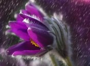 Обманы природы: синоптики дали прогноз погоды на выходные 