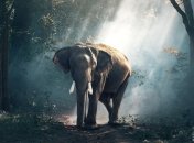 В мире природы: 10 существ, установивших рекорд долгожительства