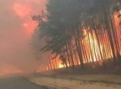 На Луганщине более 1,6 тыс человек и 200 единиц техники тушат лесные пожары