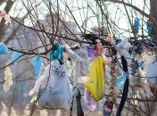 "Привыкаем жить как свиньи": в Киеве нашли мусорный "арт-объект" (фото)