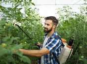 Обработка больных растений обязательна