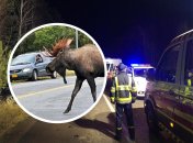 ДТП в Ровенской области