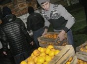 Украинцы сократили потребление цитрусовых фруктов