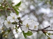 Прогноз погоды в Украине на 24 апреля: солнечно только на севере