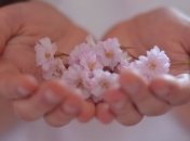 Как бороться с желтыми ногтями?