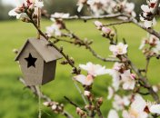 Яке сьогодні свято — Іван Довгий