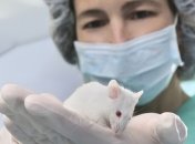 Ученые: Лечить аллергию можно на этапе внутриутробного развития