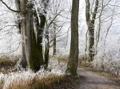 19 ноября - память Павла Исповедника и Варлаама Хутынского