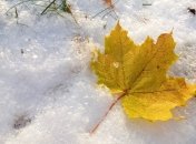 Что нельзя делать в Еремин день 17 ноября - главные запреты