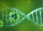 Беда не ходит одна: новый коронавирус мутировал сразу в два варианта 