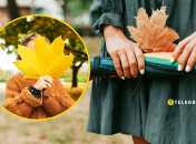 Осень уже дает о себе знать первой желтой листвой