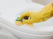 Проблема грязного унитаза решается с помощью уксуса и лимонной кислоты