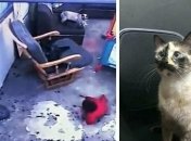 Відео спасіння немовляти стало шалено популярним у мережі