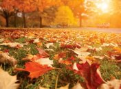 Осінь радує теплом