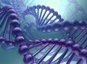 Ученые разрабатывают методику защиты генов